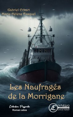 eBook: Les naufragés de la Morrigane