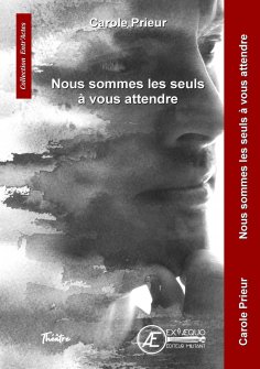 eBook: Nous sommes les seuls à vous attendre