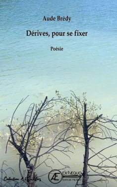 ebook: Dérives, pour se fixer