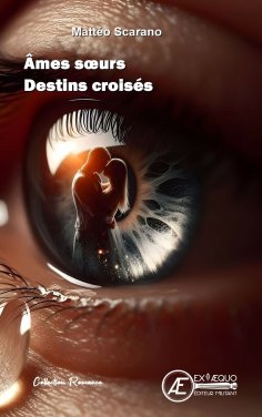 eBook: Âmes soeurs Destins croisés