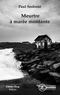 eBook: Meurtre à marée montante