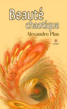 eBook: Beauté chaotique