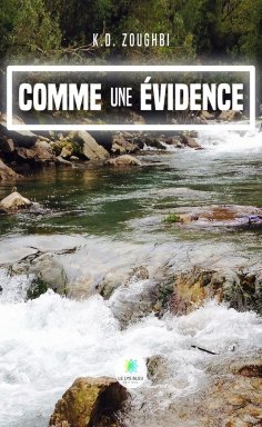eBook: Comme une évidence