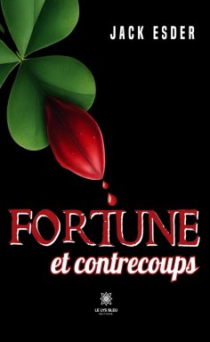 eBook: Fortune et contrecoups