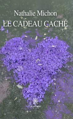 eBook: Le cadeau caché