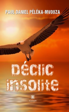 eBook: Déclic insolite