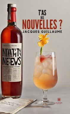 eBook: T’as des nouvelles ?