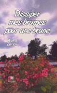 eBook: Dissiper mes brumes pour une brune