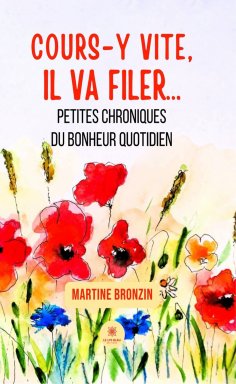 ebook: Cours-y vite, il va filer…