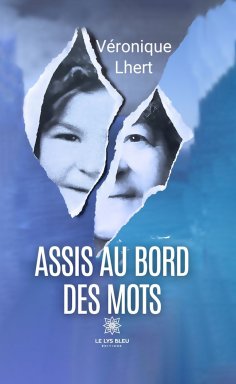 eBook: Assis au bord des mots