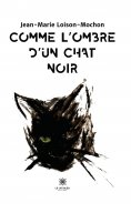 eBook: Comme l’ombre d’un chat noir