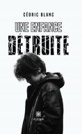 ebook: Une enfance détruite
