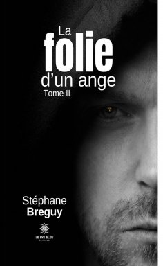 ebook: La folie d’un ange - Tome 2