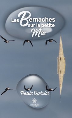 eBook: Les bernaches sur la petite mer