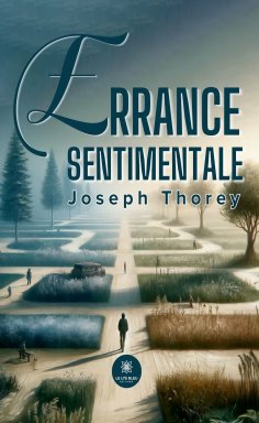 ebook: Errance sentimentale