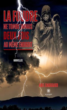 eBook: La foudre ne tombe jamais deux fois au même endroit