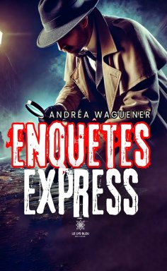 eBook: Enquêtes express
