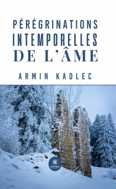 eBook: Pérégrinations intemporelles de l’âme