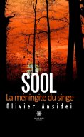 ebook: Sool