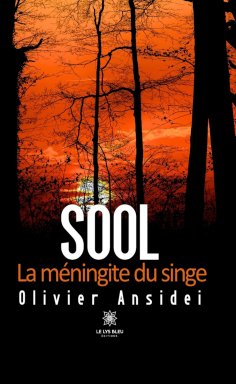 ebook: Sool
