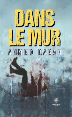 ebook: Dans le mur