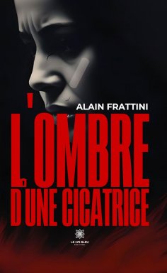 ebook: L’ombre d’une cicatrice