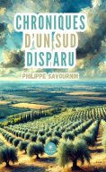 ebook: Chroniques d’un sud disparu
