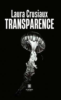 ebook: Transparence