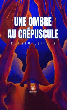 eBook: Une ombre au crépuscule
