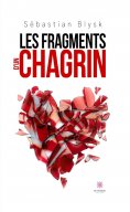 eBook: Les fragments d’un chagrin