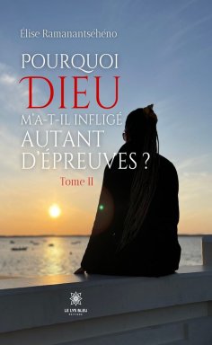 eBook: Pourquoi Dieu m’a-t-il infligé autant d’épreuves - Tome 2