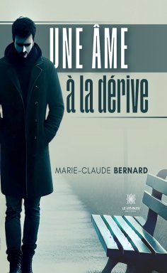 eBook: Une âme à la dérive