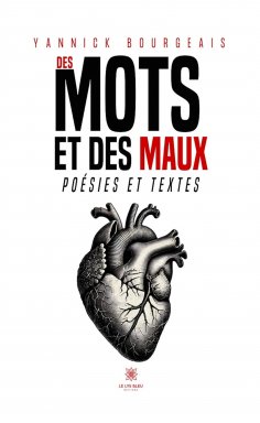 eBook: Des mots et des maux