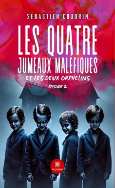 eBook: Les quatre jumeaux maléfiques et les deux orphelins