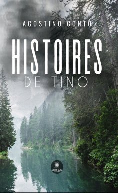 ebook: Histoires de Tino
