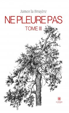 eBook: Ne pleure pas - Tome 3