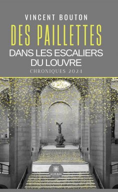 ebook: Des paillettes dans les escaliers du Louvre