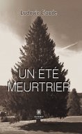 ebook: Un été meurtrier