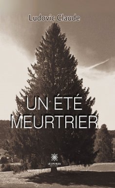 ebook: Un été meurtrier