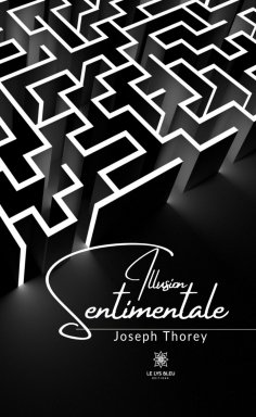 ebook: Illusion sentimentale