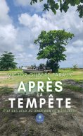 ebook: Après la tempête