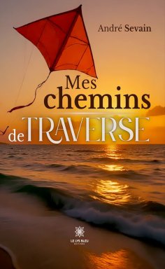 ebook: Mes chemins de traverse