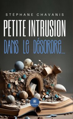ebook: Petite intrusion dans le désordre…