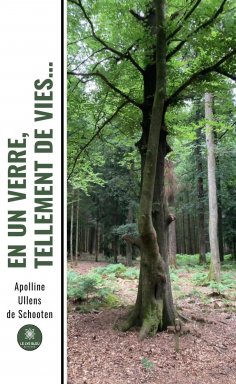 ebook: En un verre, tellement de vies…