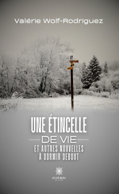 eBook: Une étincelle de vie et autres nouvelles à dormir debout