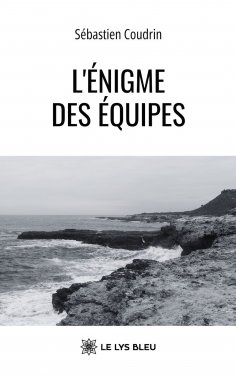 eBook: L’énigme des équipes