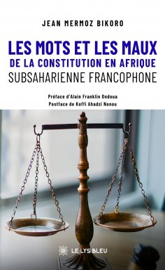 eBook: Les mots et les maux de la constitution en Afrique subsaharienne francophone