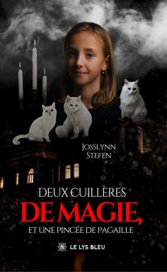 eBook: Deux cuillères de magie, et une pincée de pagaille