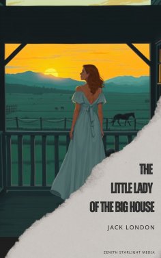 eBook: The Little Lady of the Big House