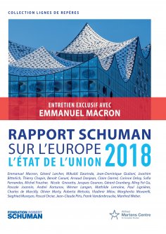 ebook: Rapport Schuman sur l'Europe